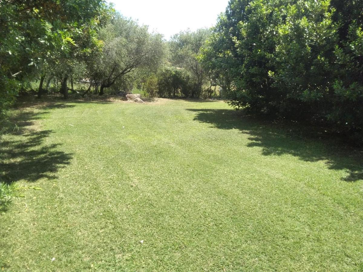 Daillu Bed & Breakfast Olbia