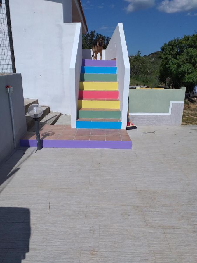 Daillu Olbia