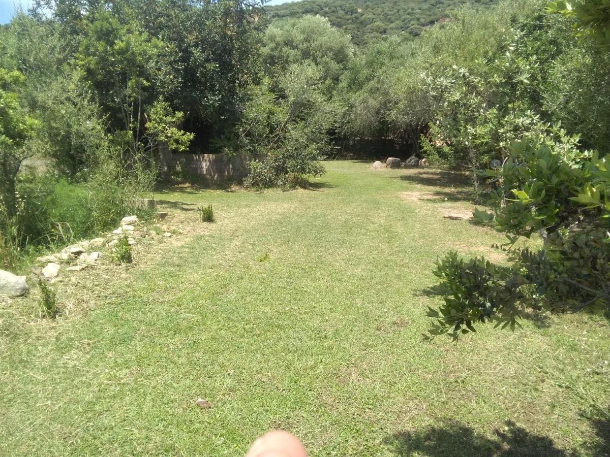Daillu Bed & Breakfast Olbia