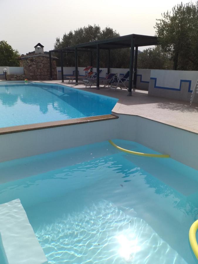 Daillu * Olbia